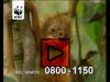 DRTV, Wereld Natuur Fonds, filmpje downloaden...